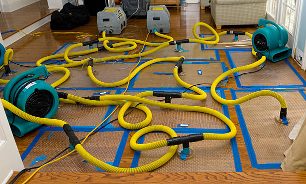 Professional Storm Water Damage Restoration technician working in Lytle, TX